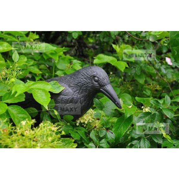 Lintupelätin Korppi - Pelottaa linnut pois Black