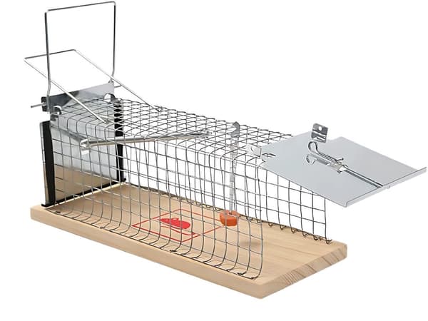 Råttfälla XL - Stor metallbur med fjäderlucka