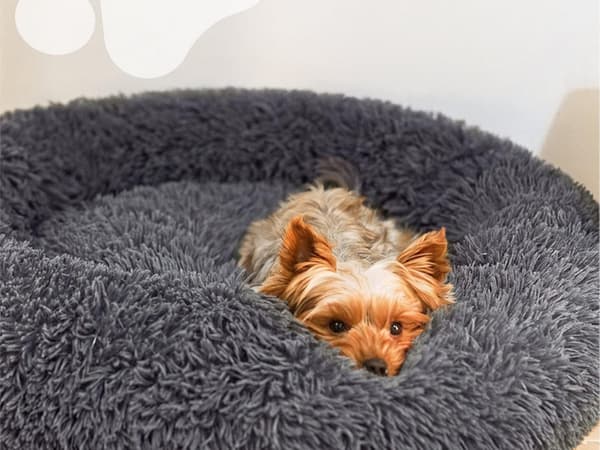 Fluffig hundsäng kattsängkläder mjuk kudde soffsäng 50cm