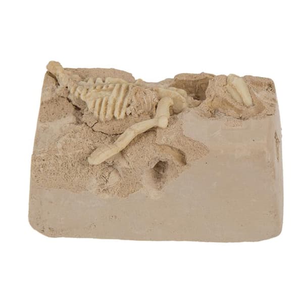 Udgravningssæt – Dinosaur Brown