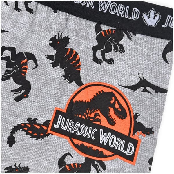 Jurassic World Kalsonger för Barn - 2-Pack 4-5 år