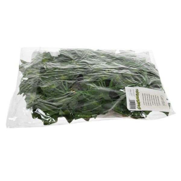 6 metriä Muratti Girlandi / Lehtigirlandi - 2m pitkä Green