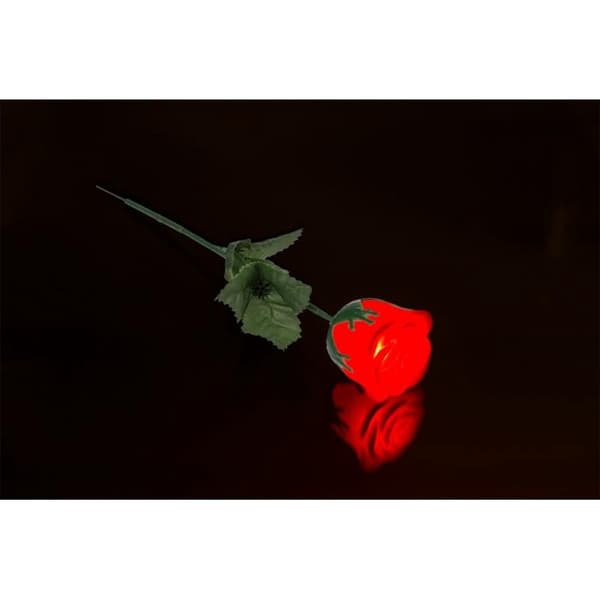 Rose med LED-lys – Fargeskiftende Multicolor