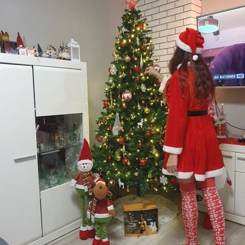 Julemandskone Kostume – Jul