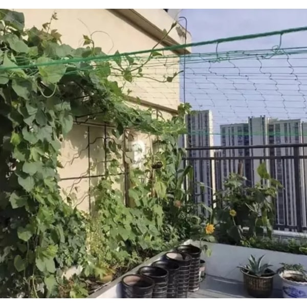 Plantenet / Støttenet til Planter - 2x10m