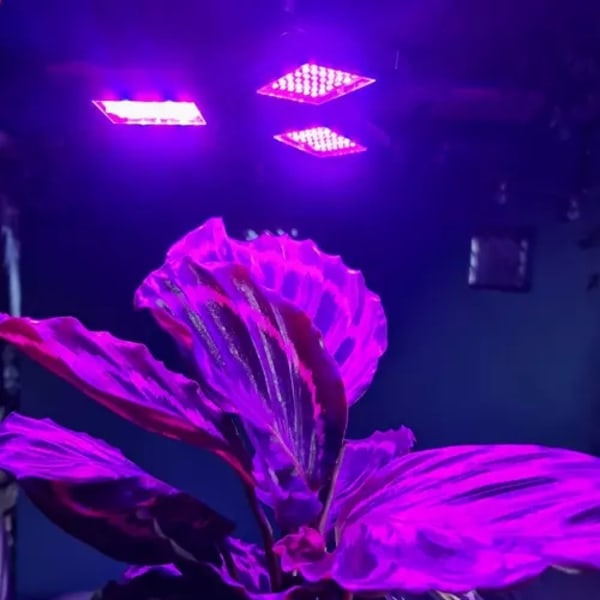 Plantelampe - Plantebelysning med 3 LED paneler