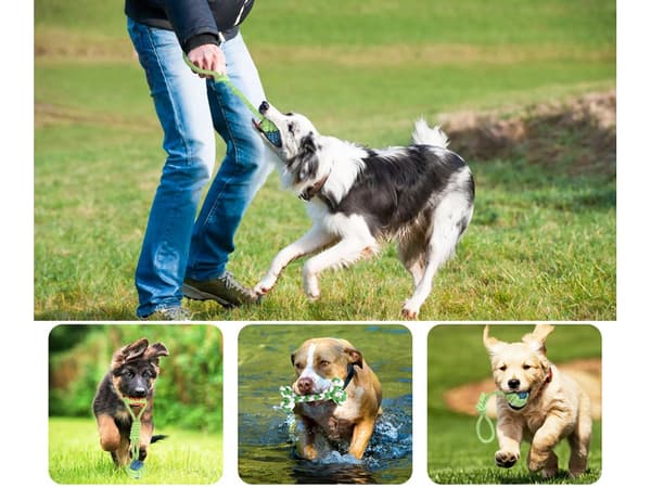 Dragleksak / Kampleksak för Hund - Hundleksak