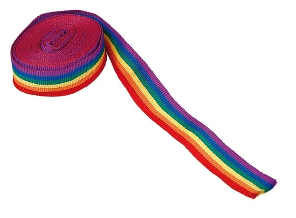20mm Dekorationsband Pride - Regnbåge multifärg