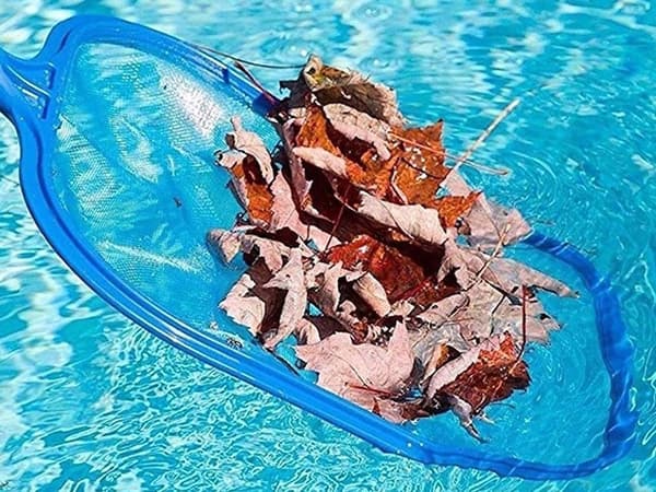 Poolhåv til Rengøring af Pool – 45 x 25 cm