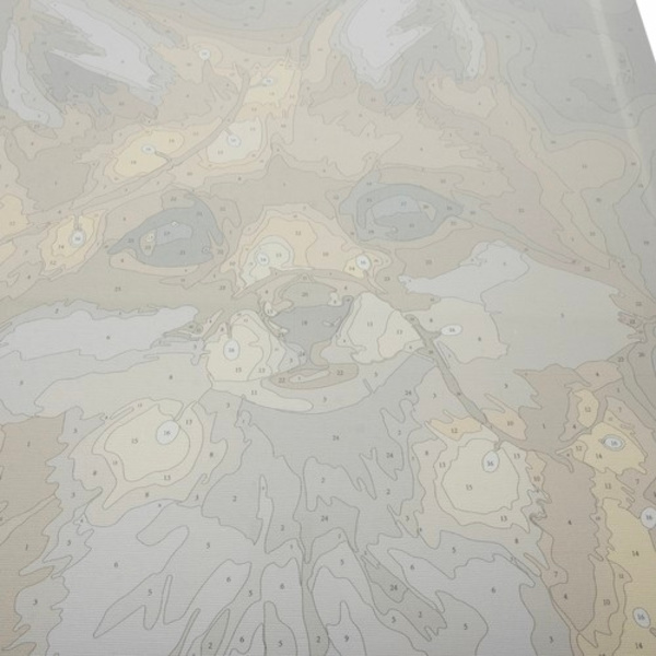 Mal etter nummer-sett - 40x50cm - Rev