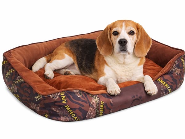 Hundbädd soffa medium Brown
