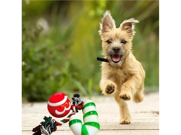 Set med hundleksaker hundtuggar 3 st mix leksak semesterpresent