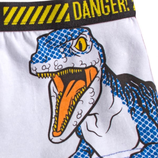 Jurassic World Kalsonger för Barn - 2-Pack 2-3 år