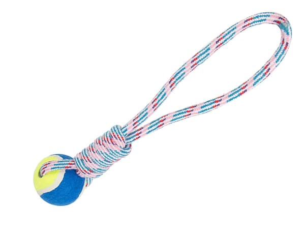 Dragleksak med boll / Kampleksak för Hund - Hundleksak