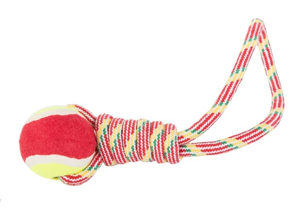 Dragleksak med boll / Kampleksak för Hund - Hundleksak