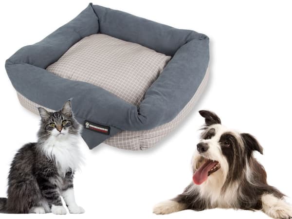 Hundbädd kattbädd mjuk bädd soffa soffa kudde liten Blå/grå