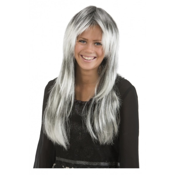Lang grå paryk - Halloween & maskerade Grey one size