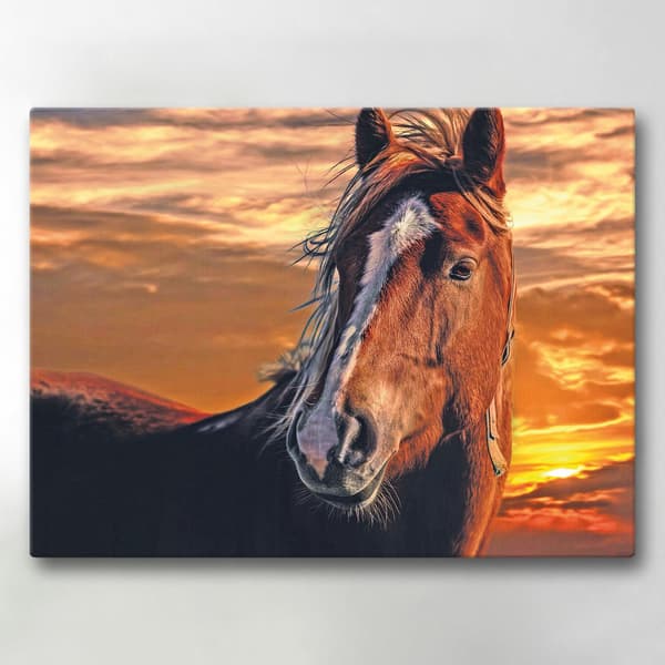 Lerretsbilde / Bilde - Hest - 40x30 cm - Lerret