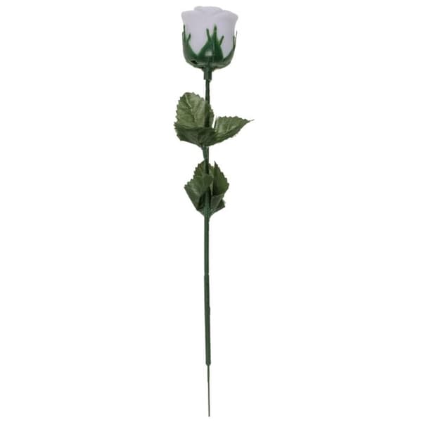 Ros med LED-lampe – Farveskiftende Multicolor