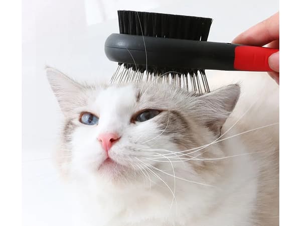 Dubbelsidig Pälsborste - Katt & hundborste