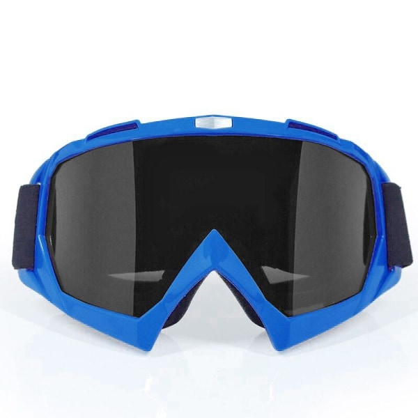 Skidglasögon / Snowboardglasögon - Blå