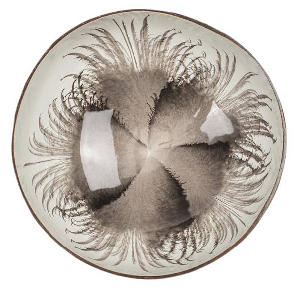 Kokosskål / Serveringsskål / Skål - 13 cm Multicolor