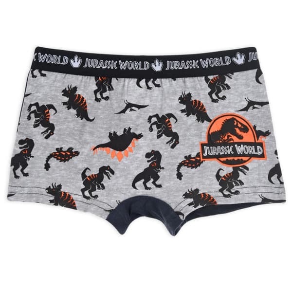Jurassic World Kalsonger för Barn - 2-Pack 4-5 år