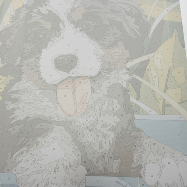 Mal Efter Tal Kit - 40x30cm – Hund