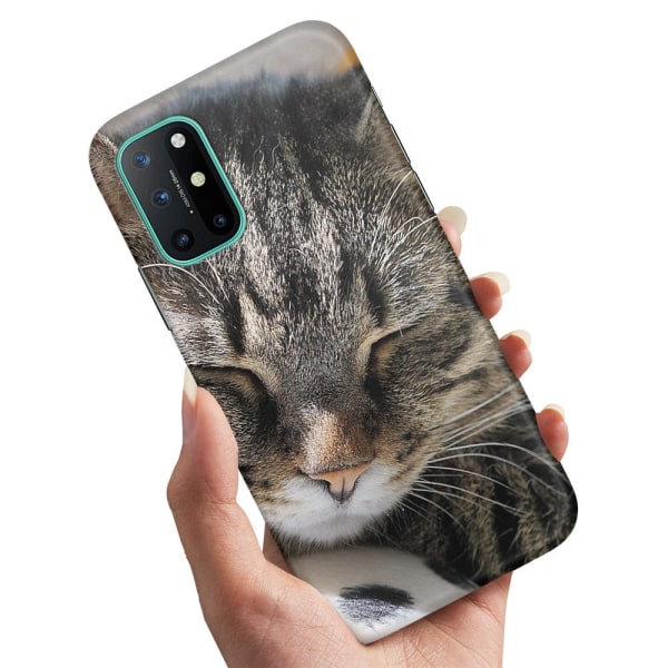 OnePlus 8T - Deksel/Mobildeksel Sovende Katt