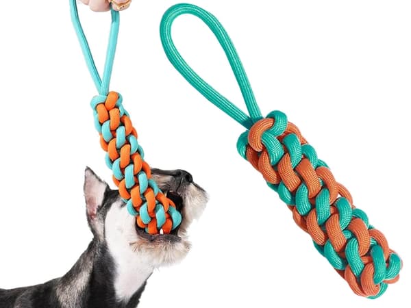 Dragleksak / Kampleksak för Hund - Hundleksak