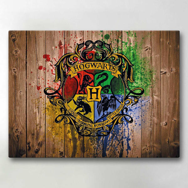 Canvas-taulut / Taulut - Harry Potter - 40x30 cm - Canvastaulut