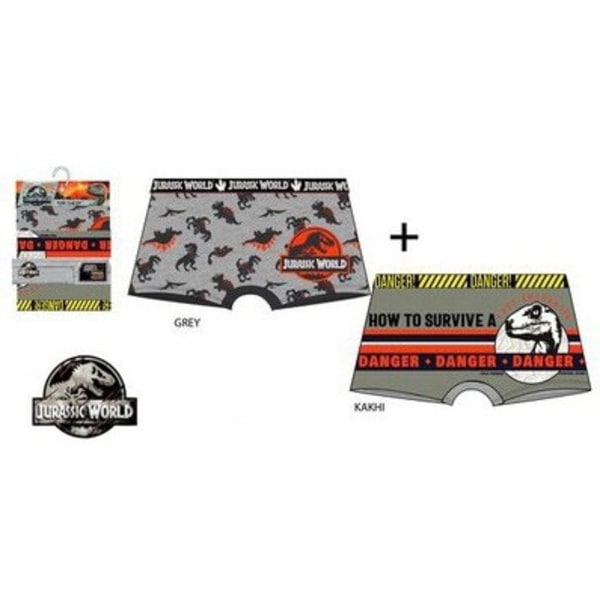 Jurassic World Kalsonger för Barn - 2-Pack 4-5 år