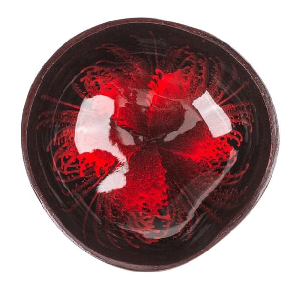 Kokosskål / Serveringsskål / Skål - 13 cm multifärg