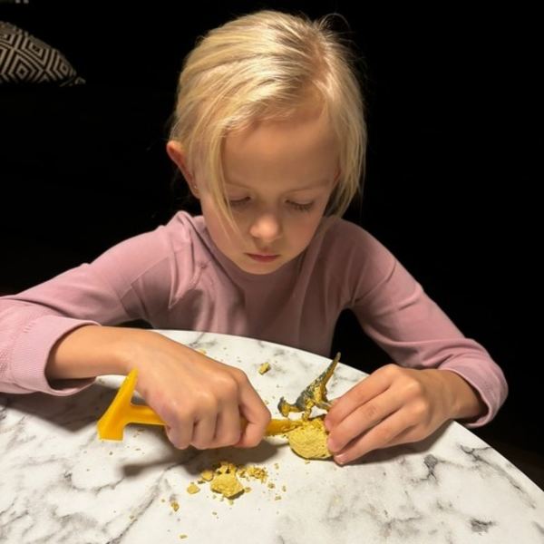 Utgrävningsset för Barn - Dinosaurie