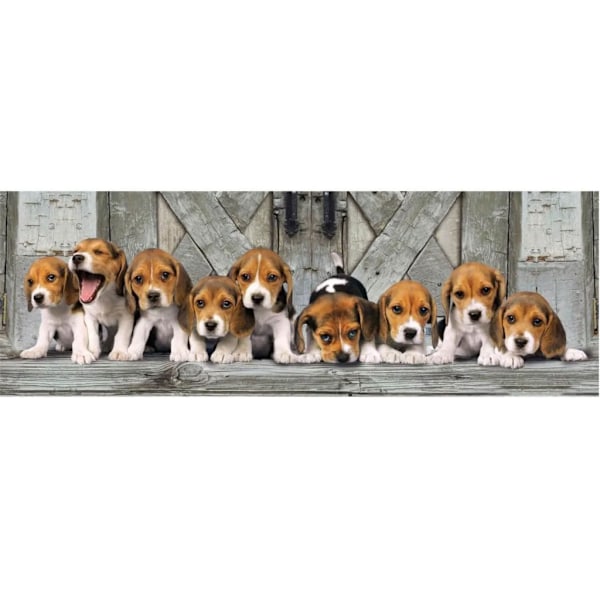 Beagle Hundar 1000-bitars panoramapussel