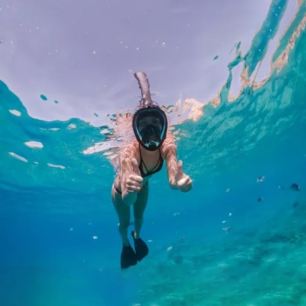 Snorkelmaske Heldekkende – Snorkling Black