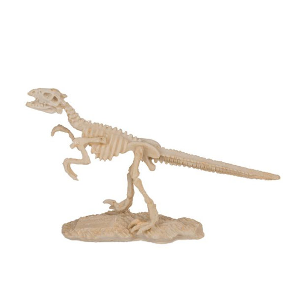Udgravningssæt – Dinosaur Brown