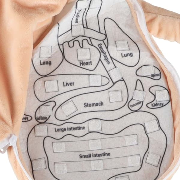Anatomisk Docka för Barn Flicka