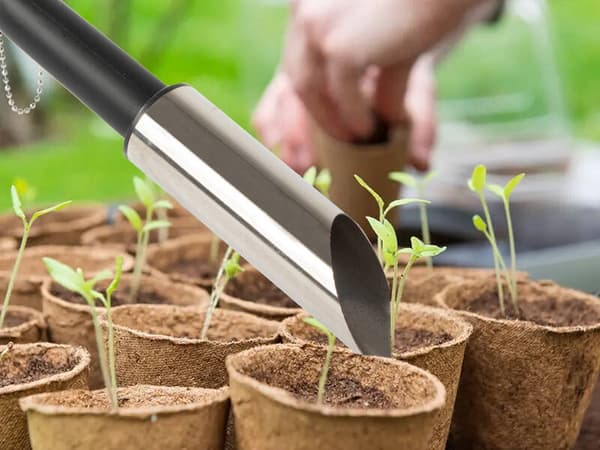 Frövinge plantering lökar trädgård plantera sådd åtgärd