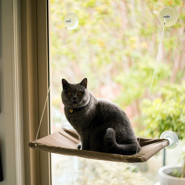 Katthængekøje med Sugekopper - Hængekøje til katte Beige