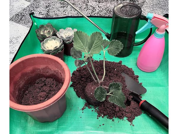 Planteringsmatta stor - För omplantering av blommor
