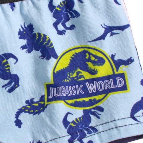 Jurassic World Kalsonger för Barn - 2-Pack 2-3 år