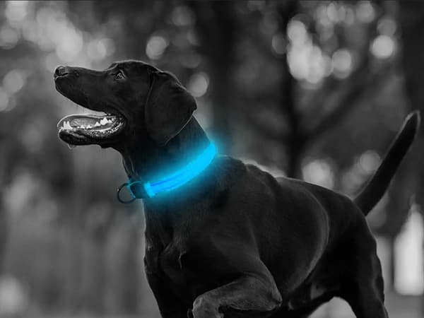 Ledbelysning mörkerhalsband för hundar och katter justerbart 59cm