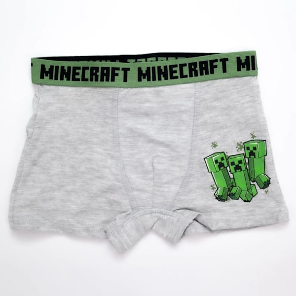 Minecraft Kalsonger för Barn - 2-Pack 6 år