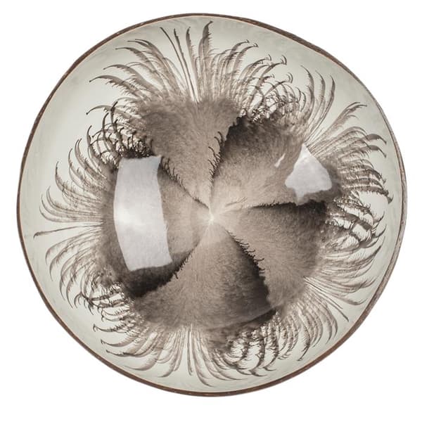 Kokosskål / Serveringsskål / Skål - 13 cm Multicolor