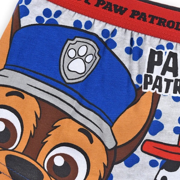 Paw Patrol Kalsonger för Barn - 2-Pack 6-8 år