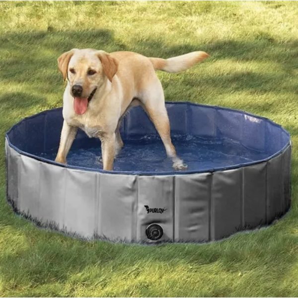 Hundpool Hopfällbar 160x30cm