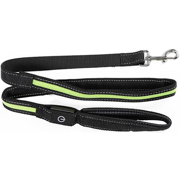 Hundesnor med LED / Snor til Hund - 175 cm