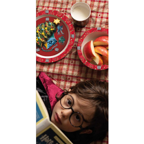 Harry Potter middagsset, mikropolymer-set, med mugg 260 ml