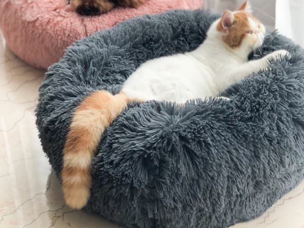 Fluffig hundsäng kattsängkläder mjuk kudde soffsäng 50cm